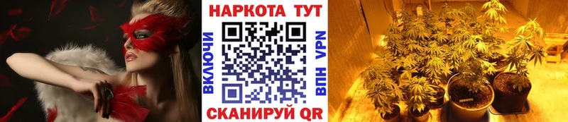 Наркошоп Алапаевск Канабис  А ПВП  Метамфетамин  Кокаин  ГАШ  kraken маркетплейс  Псилоцибиновые грибы  АМФ 