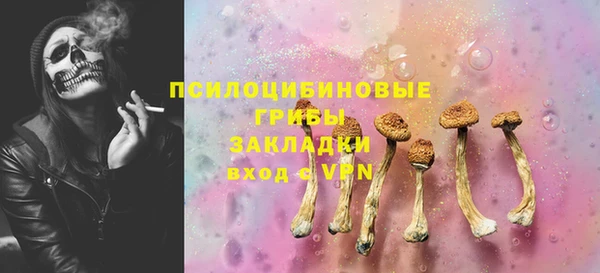 PSILOCYBIN Алзамай