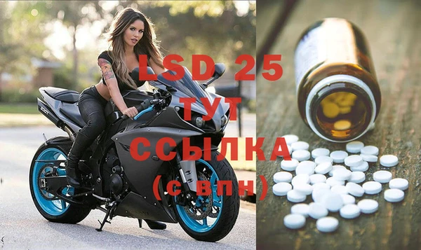 PSILOCYBIN Алзамай