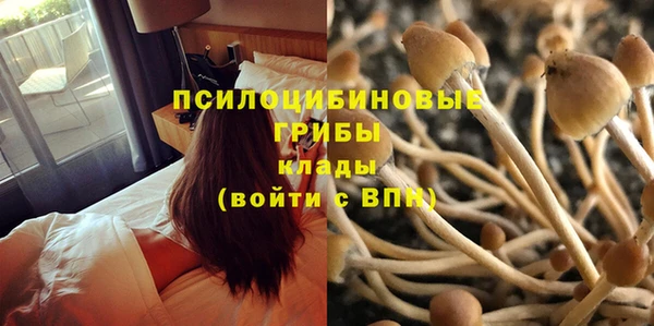 гидропоника Абдулино