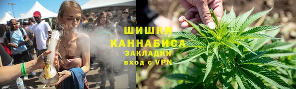 PSILOCYBIN Алзамай